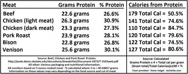 Low Protein Levels In Dogs Uk